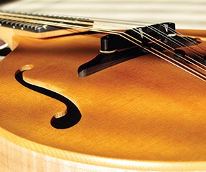 Close up of a wood violin