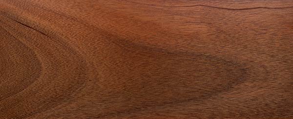 African Mahogany