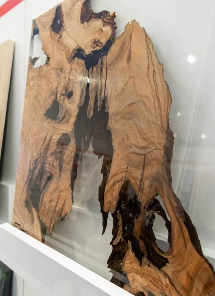 Wood Cast in Resin