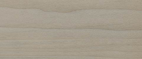 Poplar