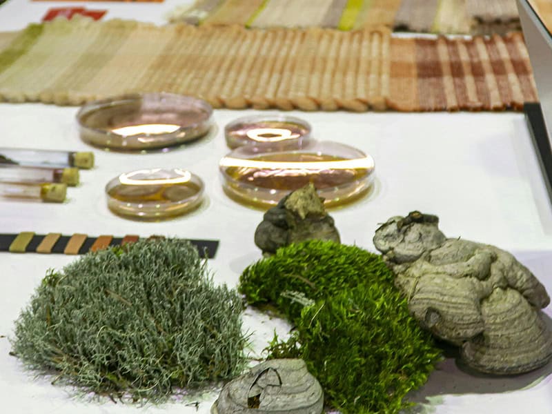 Biomaterials on a table