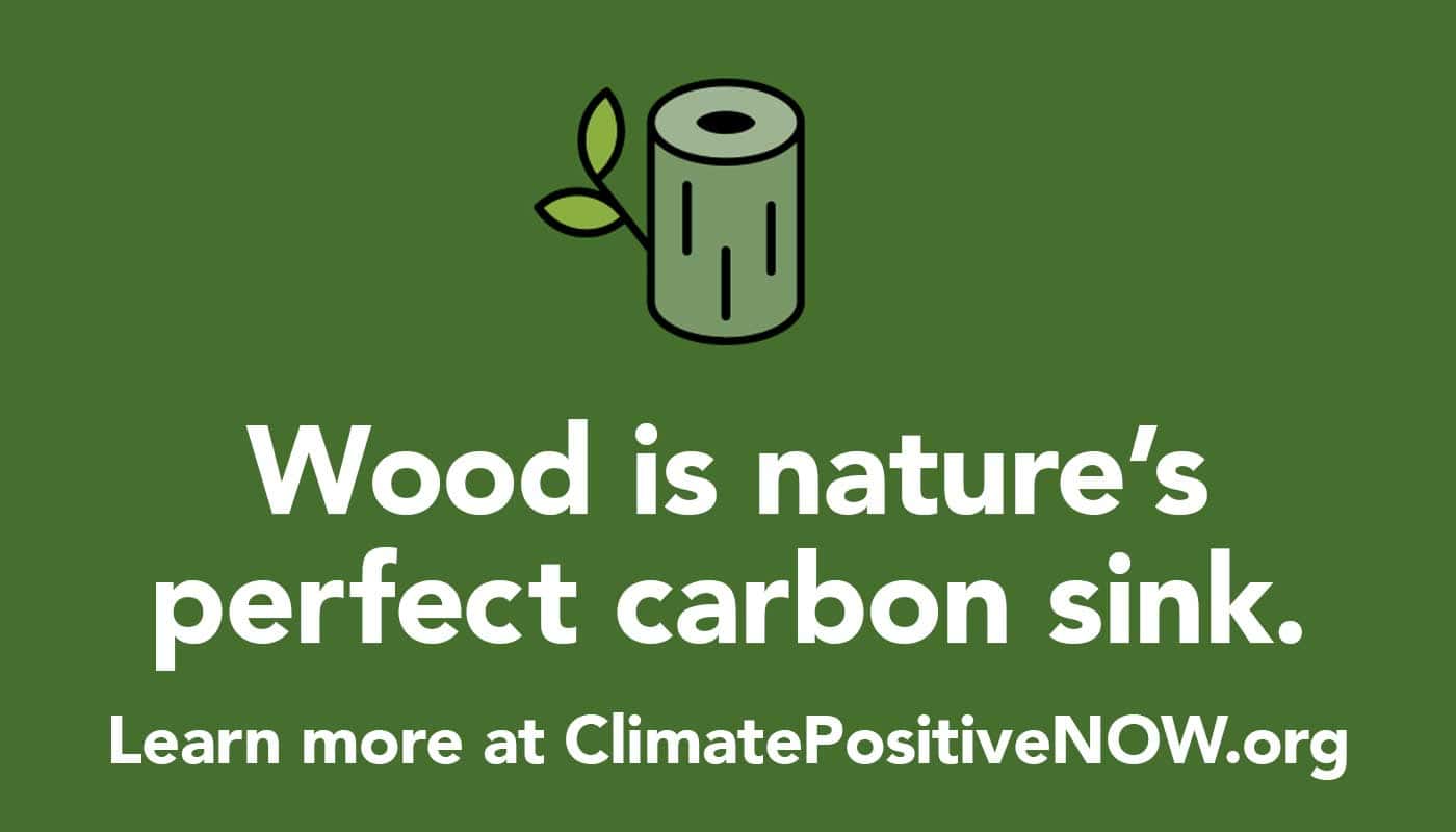 Wood is nature's perfect carbon sink