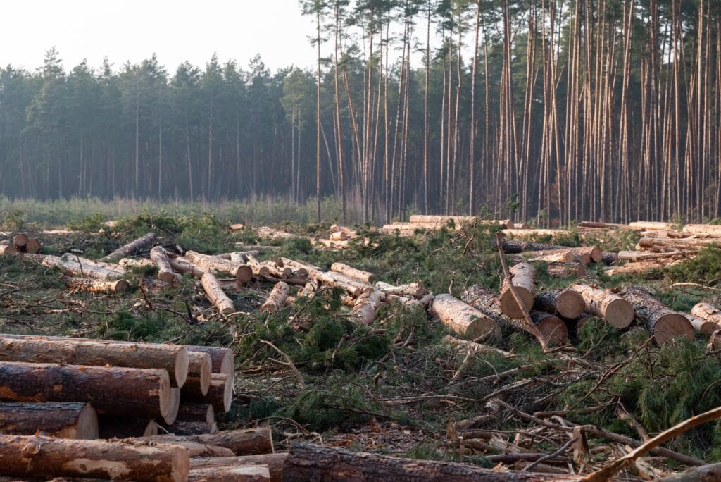 Forestry and logging