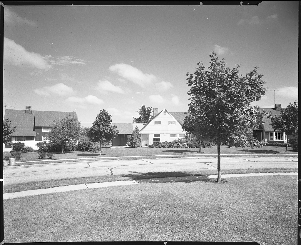 A curving Levittown street lined with similar single-family houses, young trees, and broad lawns, 1958